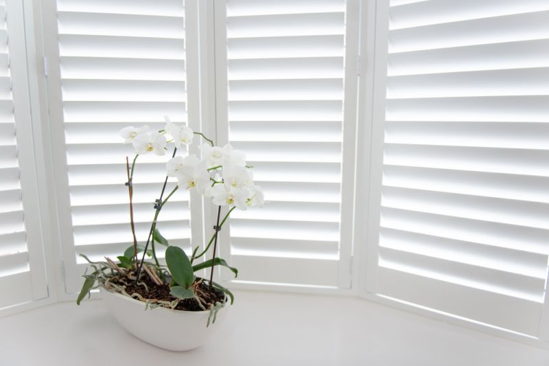 Window Shutter Installation in Richmond, VA